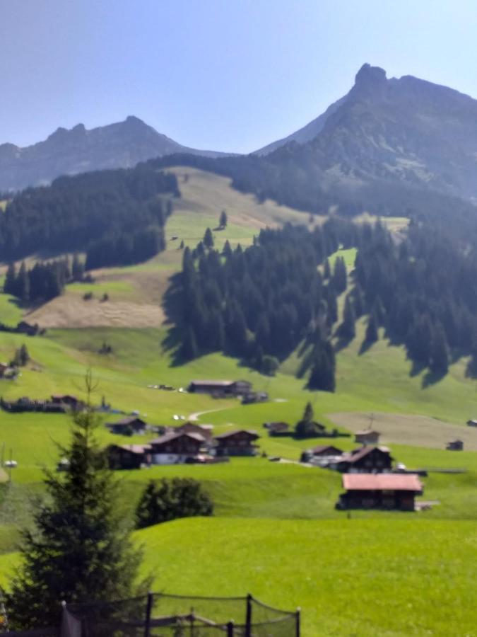 Apartament Chalet Aloa Adelboden Zewnętrze zdjęcie