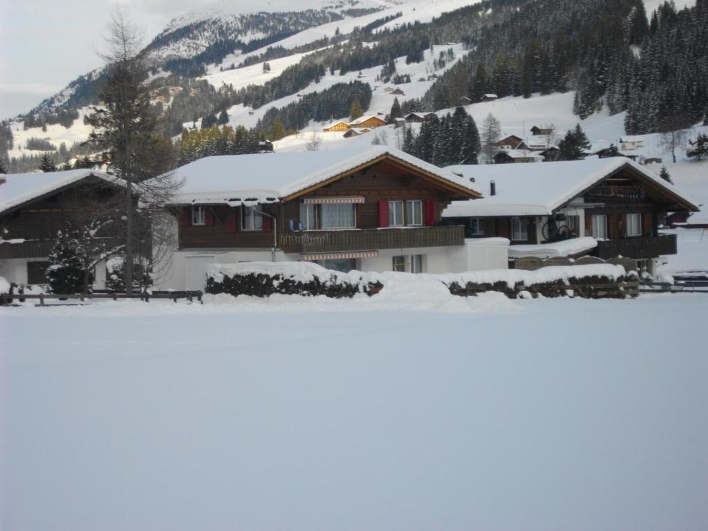 Apartament Chalet Aloa Adelboden Zewnętrze zdjęcie