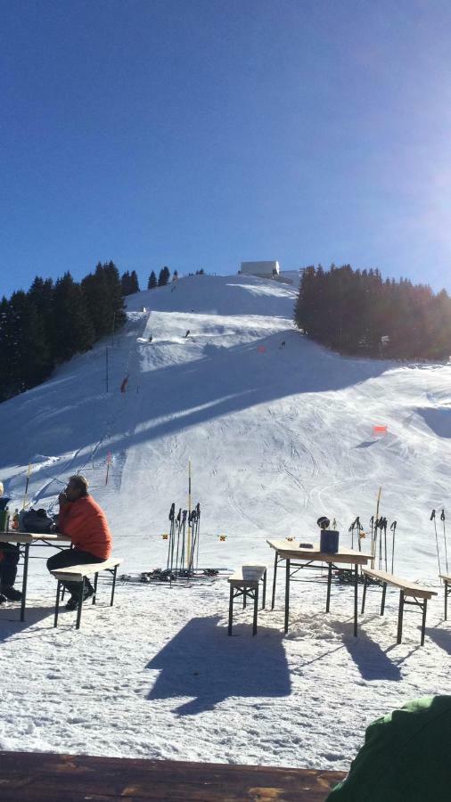 Apartament Chalet Aloa Adelboden Zewnętrze zdjęcie