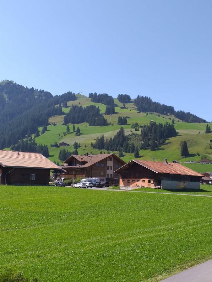 Apartament Chalet Aloa Adelboden Zewnętrze zdjęcie