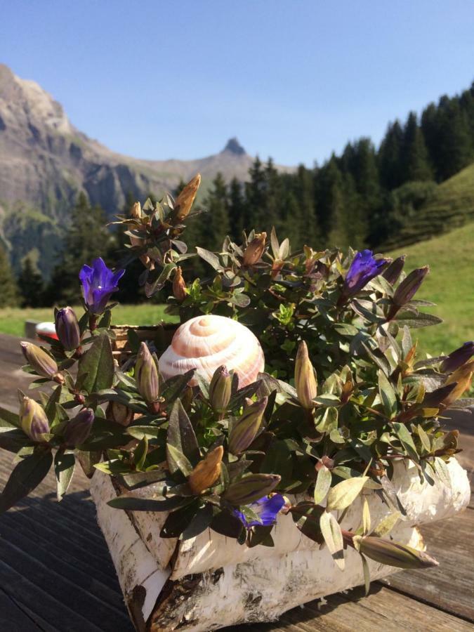 Chalet Aloa Adelboden Zewnętrze zdjęcie
